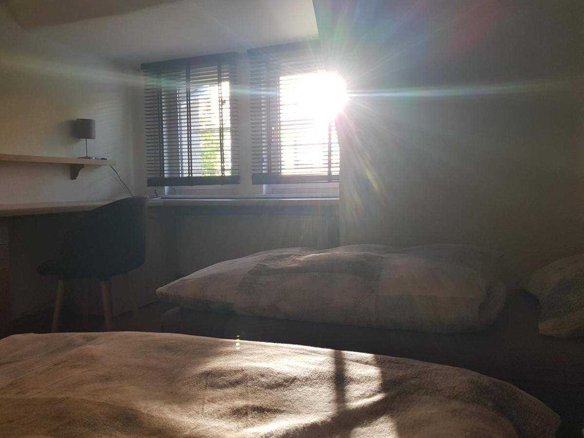 Apartment Am Suedpark Erfurt - Inkl Garten Mit Sitzlounge - Zentrumsnah Eksteriør billede