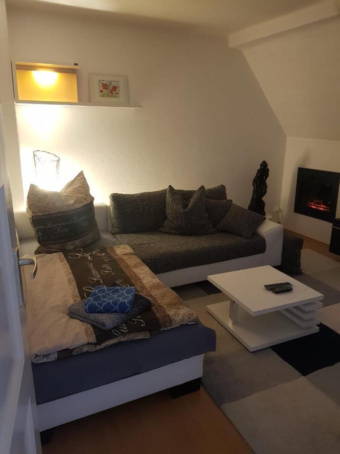 Apartment Am Suedpark Erfurt - Inkl Garten Mit Sitzlounge - Zentrumsnah Eksteriør billede